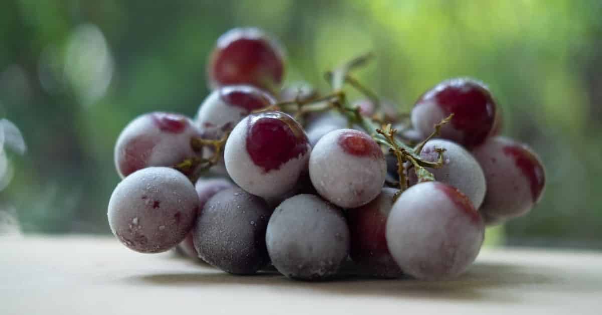 грозје замрзнато